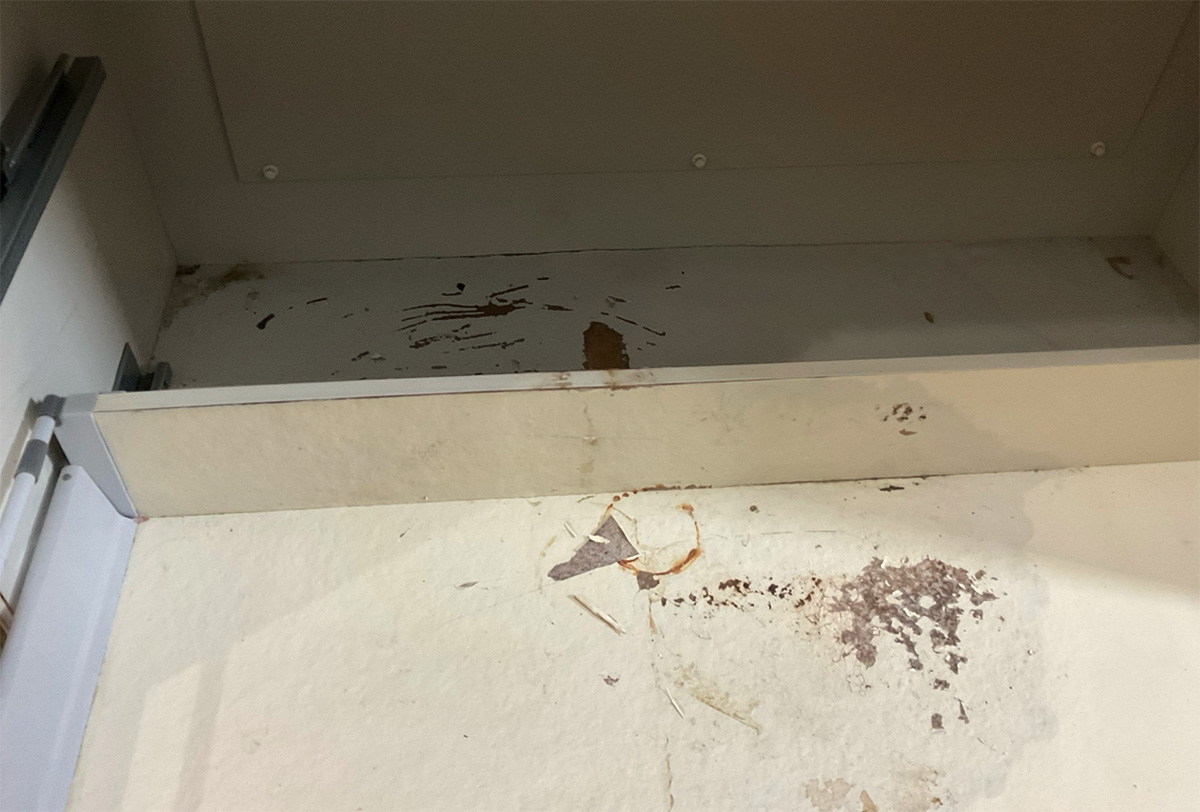引き出しと底板に水が染み込んでいる
